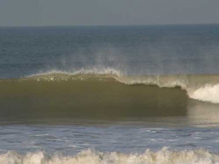 Photo of Borth beach