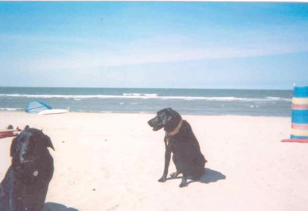 Photo of Brancaster Bay beach