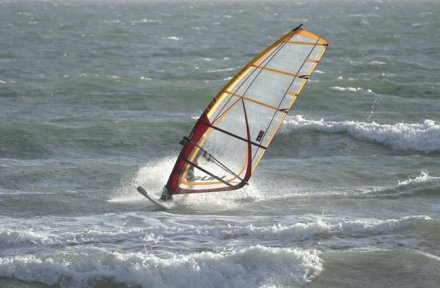 Photo of Borth beach