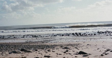 Photo of Wiseman's Bridge beach