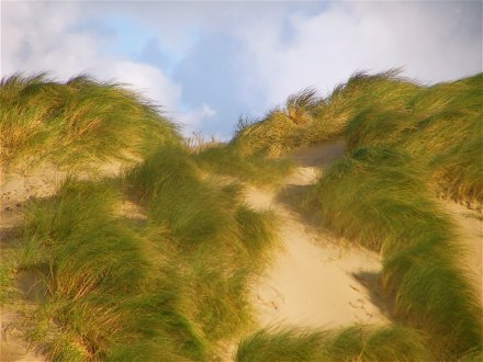 Photo of Ynyslas Estuary beach