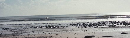 Photo of Wiseman's Bridge beach