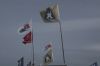 Windsurf Flags