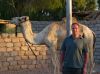 Steve and a camel!