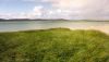 Filename=STRAND.jpg
Filesize=93KB
Dimensions=800x461
Date added=Jun 08, 2006 STRAND.jpg