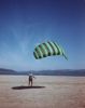 Playing with kites on the beach