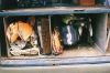 windsurf van conversion - Kit storage