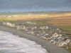 Borth