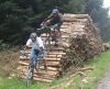 log riding