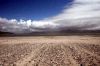 SNAPPER_YNYSLAS_BEACH_70DPI.jpg