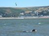 Filename=rescue_dog_sm.jpg
Filesize=27KB
Dimensions=500x375
Date added=Jul 17, 2006 rescue_dog_sm.jpg