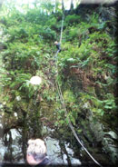 Charlie descent