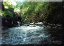 Ystwyth Gorge