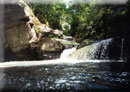 Scene