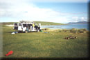 Camp