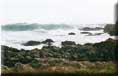 Fort Island