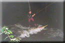 Skurf