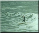 Al Surfing