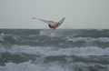 Justal, Widsurfing. Borth, West Wales